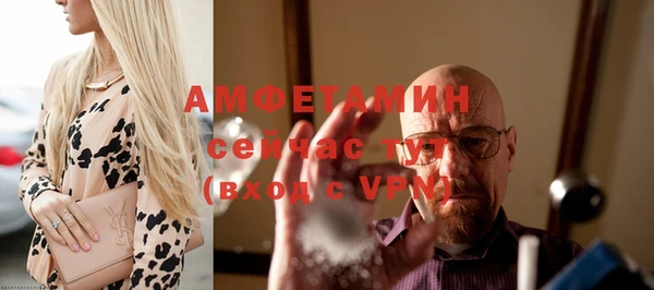 тгк Абаза